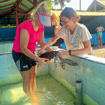 Turtle Volunteering in Bali